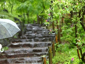 日曜日の憂鬱